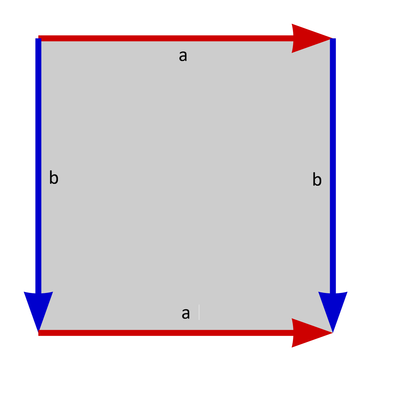 A square. The top and bottom edges are colored red, labeled 'a', and have arrows pointing to the right. The left and right edges are colored blue, labeled 'b', and have arrows pointing down.